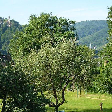 Apartament Feriendomizil Im Plantert Traben-Trarbach Zewnętrze zdjęcie